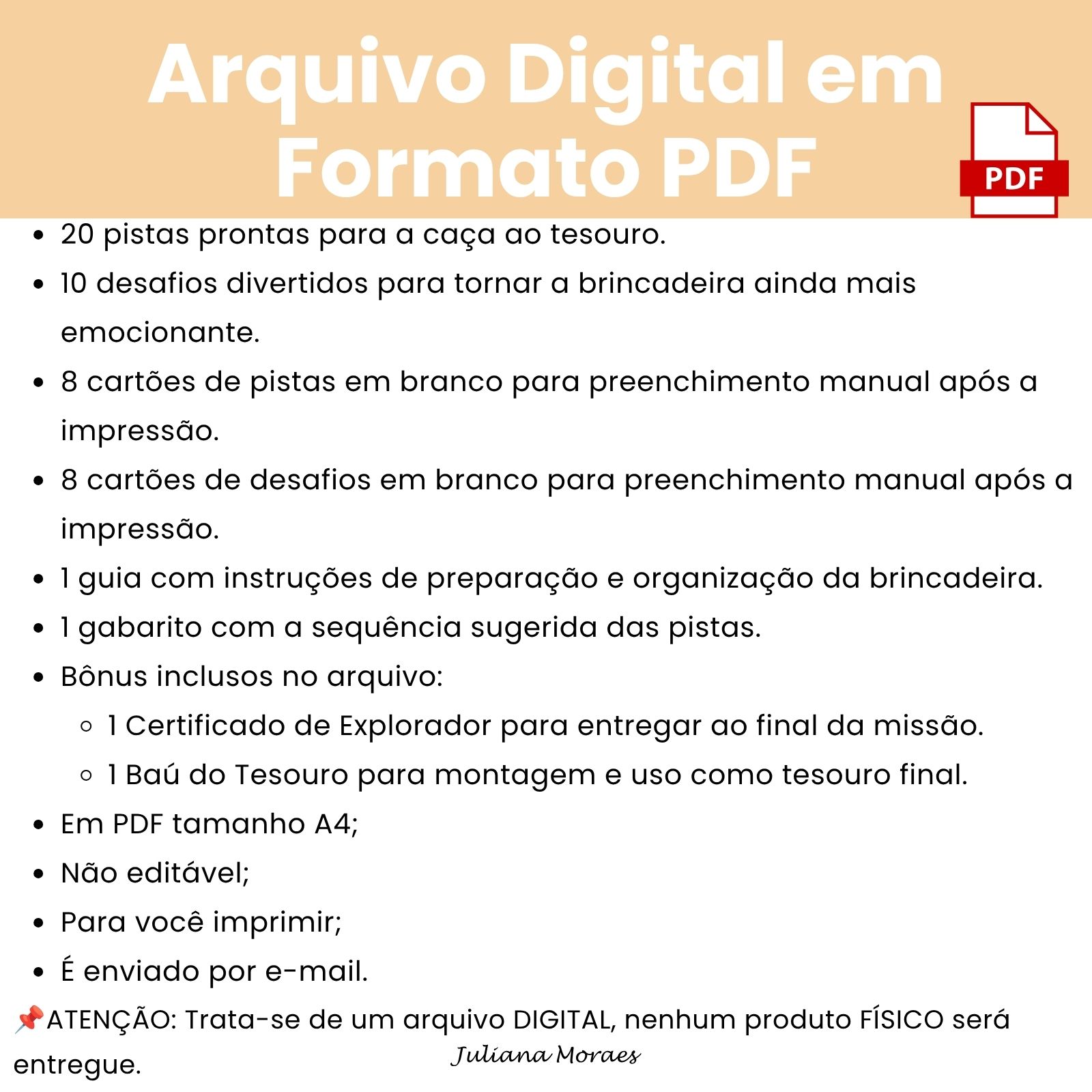 Arquivo A Grande Caça ao Tesouro + Certificado + Baú do Tesouro - Imagem 5